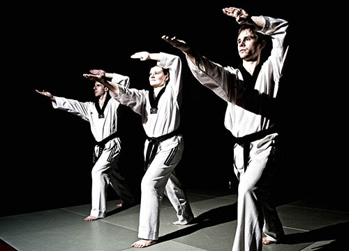 Teens and Adults Taekwondo Program